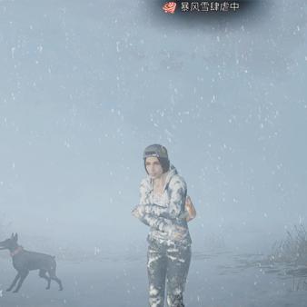 二肖中特期期准资料软件亮点|预测分析解释落实_顶级版.6.637