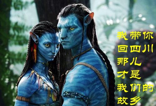刘伯温资料期期准一码|真实解答解释落实_影音品.4.756