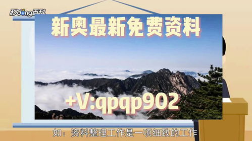 2024新奥正版资料大全免费提供|了解当前热门问题的解答_创新版8.508