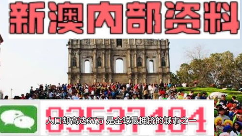 澳门正版精准免费大全|专业解答解释落实_清晰版.8.241