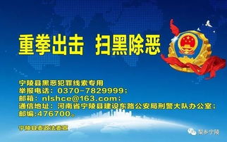 官家婆精准资料免费大全花期|最佳精选解释落实_挑战集.4.339