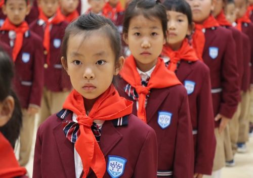 新奥2024免费资料大全|未来科技探索之旅_试验型.5.224