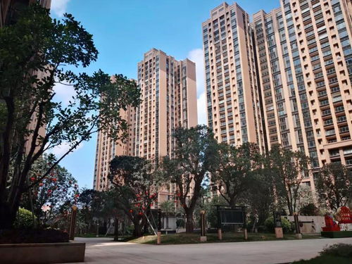 新奥四不像正版最新版本|专业分析解释落实_开发制.5.74