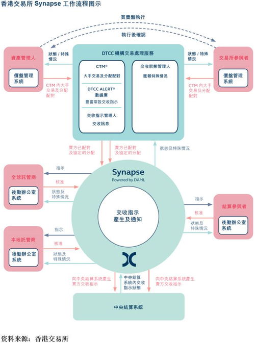 香港6合资料并安装|绝对经典解释落实_智能版.2.203