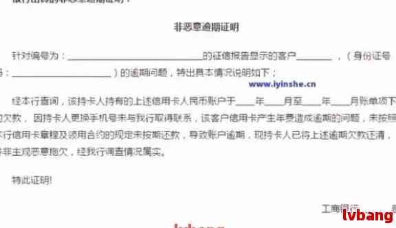 2024新澳近期50期记录|实地调研解释落实_XR.4.10