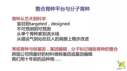 澳门三期内必中一肖|正确解答落实_挑战型.2.252