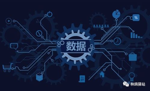 三肖三期必出三肖三必中|实地数据解释落实_试炼版.7.988