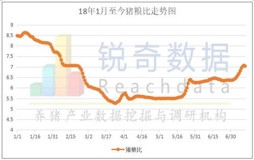 跑狗图2024年图库大全23期|未来趋势与机遇解析_领航款.4.524